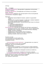 LKT Taal Samenvatting &vert; Taalonderwijs &vert; HAN &vert; 2026&sol;27