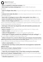&NewLine;Wgu D115 Unit 7 Advanced Pathophisiology Exam Questions And Verified Answers 2026&period;Pdf&NewLine;