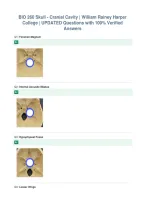 BIO 260 Skull - Cranial Cavity &vert; William Rainey Harper&NewLine;College &vert; UPDATED Questions with 100&percnt; Verified&NewLine;Answers
