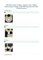 BIO 260 Thoracic Vertebra - Superior View &vert; William&NewLine;Rainey Harper College &vert; UPDATED Questions with 100&percnt;&NewLine;Verified Answers