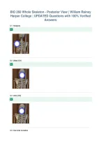 BIO 260 Whole Skeleton - Posterior View &vert; William Rainey&NewLine;Harper College &vert; UPDATED Questions with 100&percnt; Verified&NewLine;Answers