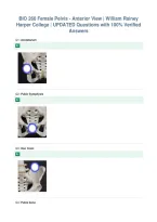 BIO 260 Female Pelvis - Anterior View &vert; William Rainey&NewLine;Harper College &vert; UPDATED Questions with 100&percnt; Verified&NewLine;Answers&NewLine;