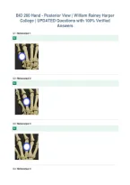BIO 260 Hand - Posterior View &vert; William Rainey Harper&NewLine;College &vert; UPDATED Questions with 100&percnt; Verified&NewLine;Answers