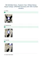 BIO 260 Male Pelvis - Posterior View &vert; William Rainey&NewLine;Harper College &vert; UPDATED Questions with 100&percnt; Verified&NewLine;Answers