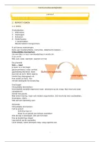 Leerstof Schrijfproces &vert; Communicatievaardigheden &vert; Hogeschool Gent &vert; 2026&sol;27