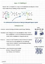 document-image