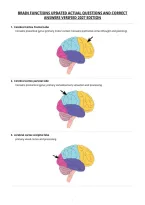 Brain Functions Updated Actual Questions And Correct&NewLine;Answers Verified 2027 Edition
