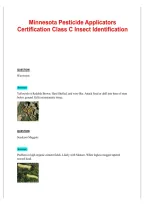 Minnesota Pesticide Applicators Exam &vert; Questions&comma; Answers & Study Guide &vert; 2026&sol;2027