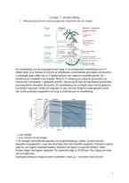 Samenvatting Longen 1 &vert; Anatomie & Fysiologie &vert; UA &vert; 2026&sol;27