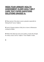 Week&lowbar;Four&lowbar;Urinary&lowbar;Health&lowbar;Assessment&lowbar;Older&lowbar;Adult&lowbar;Mr&lowbar;P&lowbar;Care&lowbar;Analysis&period;pdf
