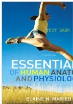 Essentials   Of  Human  Anatomy  And  Physiology Test  Bank  By Elaine 