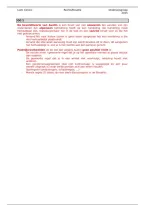 Alle OG's Rechtsfilosofie &vert; UHasselt &vert; 2024&sol;2025 &lpar;17&sol;20&rpar;