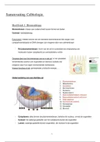 Samenvatting Celbiologie &vert; KU Leuven &vert;