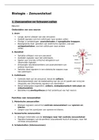 Biologie &vert; Zenuwstelsel &vert; VWO&sol;Gymnasium &vert; 2026&sol;27