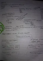 Class notes Life Sciences &lpar;Biology&rpar; 