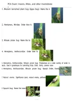 PCA Exam &ndash; Insects&comma; Mites & Other Invertebrates &vert; Questions & Answers Study Guide