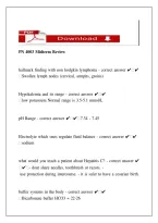 PN 4003 Mega Study Package &ndash; Midterm & Final Exam Questions & Answers &vert; Variations in Health