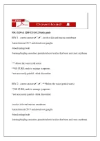 NSG 3250 & 3280 Exam 2 Study Guide &ndash; Adult Health & Pathophysiology Questions & Answers