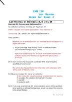 BIOL 150 Lab Review Guide for Exam &period;2&period;