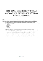 Test Bank for Essentials of Human Anatomy and Physiology 10th Edition by Elaine N&period; Marieb