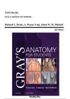 Test Bank &vert; Gray's Anatomy for Students 4th Edition by Drake&comma; Vogl & Mitchell &vert; All Chapters MCQs with Answers