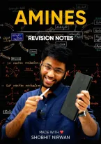 Amines class 12th notes