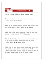 NR 607 Nervous System & Brain Anatomy Quiz &vert; Neuroanatomy Study Guide