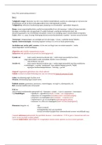 Samenvatting Intro IVK Semester 1 &vert; Haagse Hogeschool &vert; 2026&sol;27