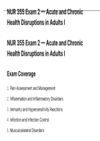 NUR 355 Exam 2 &mdash; Acute & Chronic Health Disruptions in Adults I QUESTIONS AND VERIFIED ANSWERS WITH RATIONALES JUST RELEASED&period;pdf&NewLine;&NewLine;
