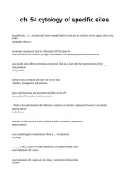 ch&period; 54 cytology of specific sites&period;