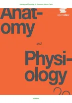 Anatomy and Physiology 2e Instructor Answer Guide &vert; Solutions and Study Resources