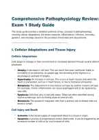 NR283 Pathophysiology Exam 1 &ndash; Comprehensive Study Guide &vert; 2026 Comprehensive Answers