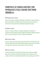 Essentials Of Human Anatomy And&NewLine;Physiology Ii Fully Solved Test Paper&NewLine;Graded A&plus;