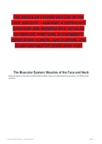The Muscular System&colon; Muscles of the Face and Neck &ndash; Anatomy & Physiology Questions and Answers with Detailed Rationales&comma; Functions&comma; Attachments&comma; Innervation&comma; Clinical Applications&comma; and Exam Preparation Guide 2026&ndash;2027