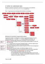 Samenvatting BVJ Thema's 1 t&sol;m 4 & 10 &vert; VWO 4 & 5 &vert; 2026&sol;27
