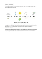 Simple Photosynthesis&period;