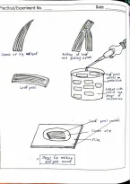 Latest Preview Thumbnail