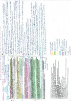 document-image