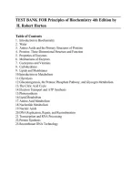 Test Bank for Principles of Biochemistry 4th Edition by Robert A&period; Horton &ndash; Complete Chapters 1-22 Guide with Questions & Answers