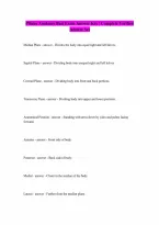Pilates Anatomy Basi Exam Questions with correct Answers Latest UPDATE 100 CORRECT ANSWERS