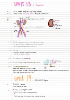 Cambridge IGCSE Biology CIE Summary notes for Unit 13 Excretion and Unit 14 Coordination and Response