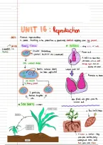 IGCSE CIE Biology 0610 Summary Notes&colon; Unit 16 Reproduction