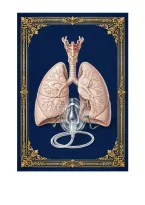 NSG 223 Med Surg 2 HESI Final Exam &NewLine;Cardiovascular & Hematology &ndash; MI&comma; HF&comma;&NewLine;Dysrhythmias&comma; Anemia&comma; Clotting&NewLine;Herzing University NSG 223 &ndash; Med Surg 2 &ndash; HESI Final &ndash; Exam 1&NewLine;A&plus; VERIFIED &vert; Expert Verified &vert; Latest Update 2026&sol;2027 &vert; Just Released&NewLine;
