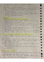 Study Document &vert; Maatschappijwetenschappen &vert; VWO&sol;Gymnasium &vert; 2026&sol;2027