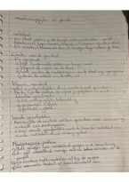 Maatschappijleer Study Document &vert; VWO&sol;Gymnasium &vert; 2026&sol;2027