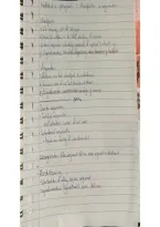 Vwo 4&comma; Nederlands&comma; argumentatie