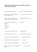 Nur 3028 Exam 1 Essentials Of Nursing Practice Study Guide 2026&sol;2027
