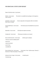 NUR 3028 NURSING EXAM PACKAGE DEAL STUDY GUIDE 2026&sol;2027