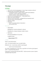 document-image
