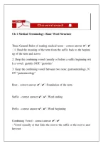 Chapter 1 Medical Terminology &ndash; Basic Word Structure PDF &vert; Study Guide